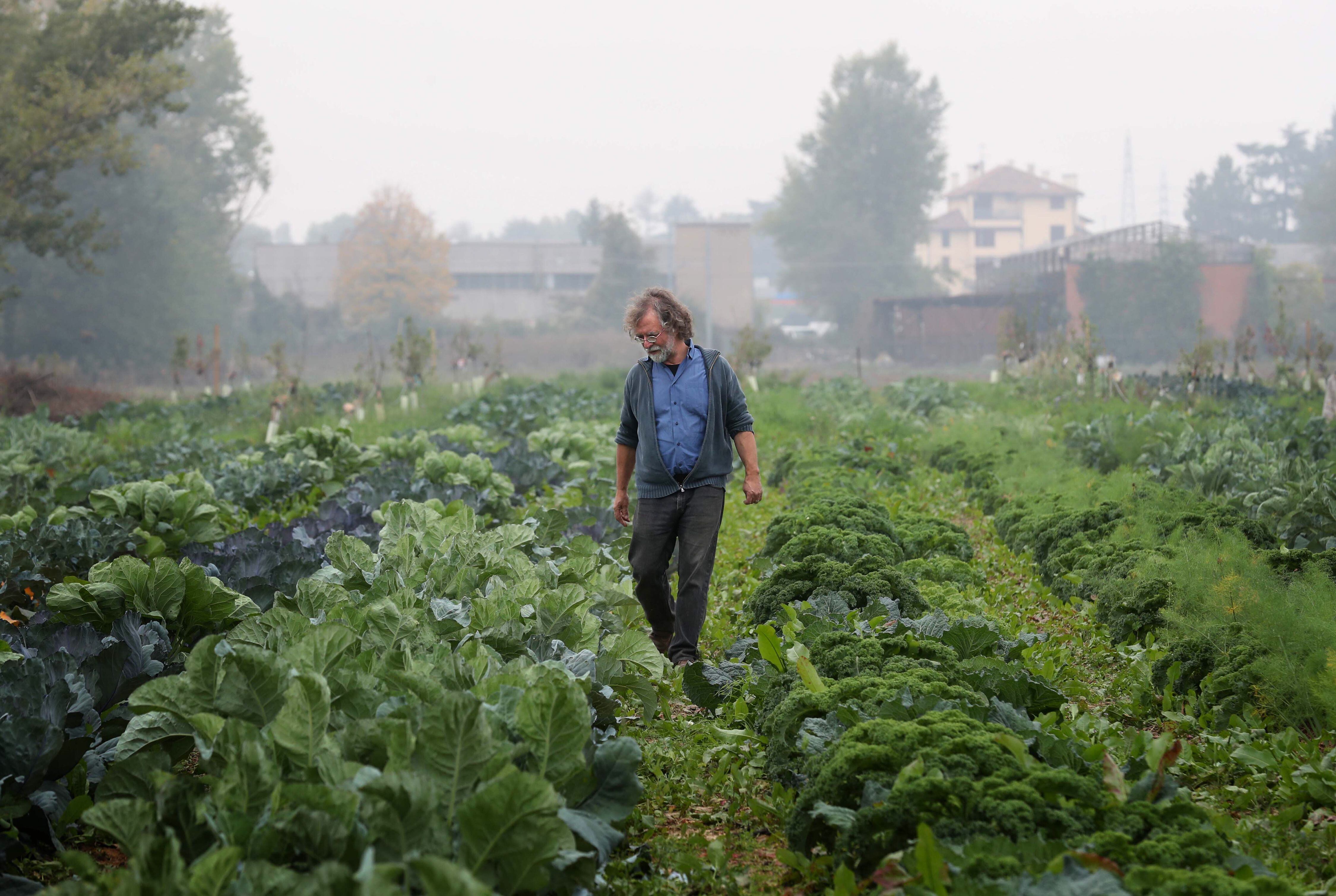 Joan Crous paseaba el 22 de octubre por los huertos de un terreno industrial recuperado para la agricultura por la cooperativa que fundó en Bolonia, Eta Beta.