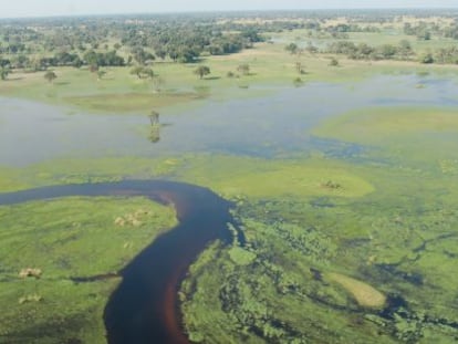 Delta del Okavango, en Botsuana.