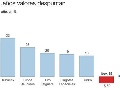 Seis pequeños valores de Bolsa española que ganan hasta un 46% en el año