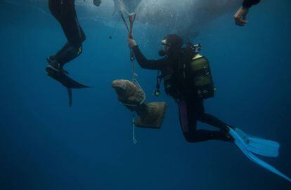Submarinistas toman una fotografía de la Virgen de la Palma en aguas profundas, durante la peregrinación marítima anual en Algeciras (España).
