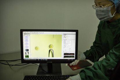 Una investigadora muestra la actuación sobre el gen PCSK9 en un embrión, en un laboratorio de Shenzhen (China).