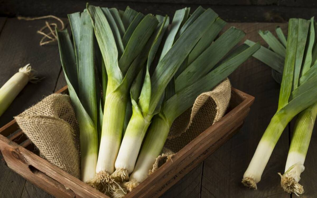 la parte verde del porro si mangia