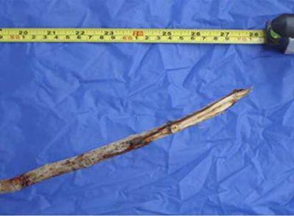 Una de las lanzas de maderas empleadas por unos chimpancés en Senegal.