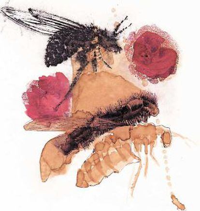 'Insectos', uno de los dibujos de Ignacio Rubiño que pueden verse en Sevilla.