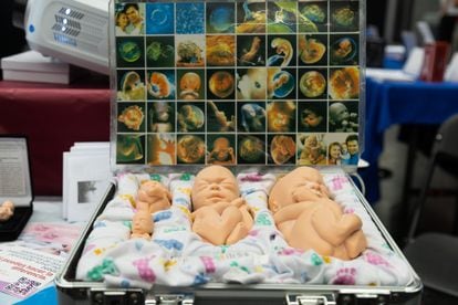 Muñecos de fetos expuestos en el Congreso Mundial por las Familias en Guadalajara, Jalisco, en marzo de 2024. 