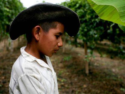 Un joven en una explotaci&oacute;n de fruta de la pasi&oacute;n en Colombia.