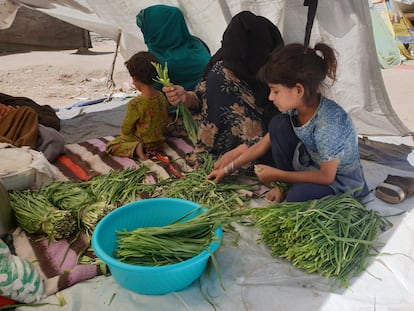 Parwana, cuyo marido fue asesinado en un ataque de los talibanes a su peluquería, limpia verduras con una de sus hijas y un vecino en el parque de Kabul donde viven.