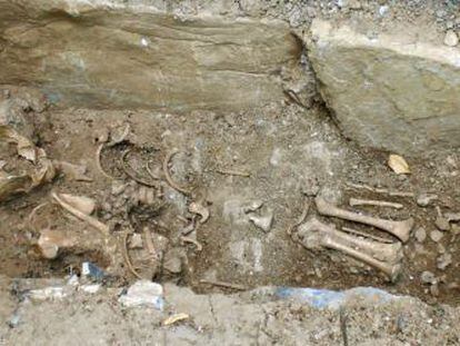 Esqueleto encontrado en el domicilio de un vecino de Cistierna (León).