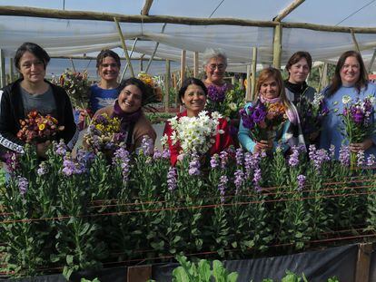 Las floricultoras del proyecto Obispo Trejo Florece, junto a algunos de los brotes que han cosechado en un invernadero en la localidad de Obispo Trejo, en la provincia de Córdoba (Argentina).