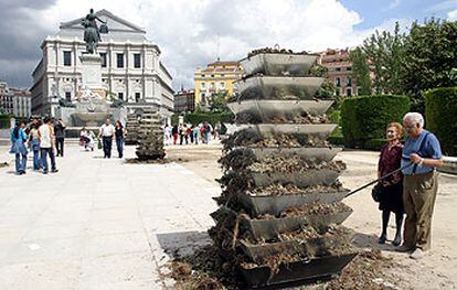 Estado en el que se quedaron las jardineras situadas en la plaza de Oriente un día después de la boda.