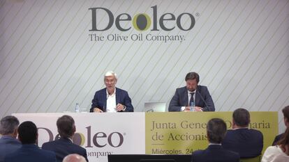El presidente de Deoleo, Ignacio Silva, en su intervención en la última junta de accionistas de la compañía.