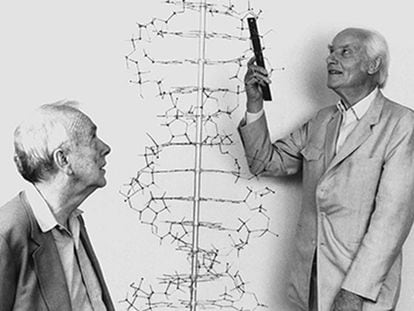 James Watson (izquierda) y Francis Crick, con un modelo de la estructura del ADN.