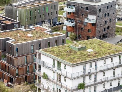 21 April 2022, Hamburg: Green roofs can be seen on new buildings in Hamburg's Wilhelmsburg district. Biodiversity thrives on them and they help to dampen urban warming caused by climate change. (to dpa: "The big crawl - green roofs with a surprising amount of biodiversity") Photo: Markus Scholz/dpa (Photo by Markus Scholz/picture alliance via Getty Images)