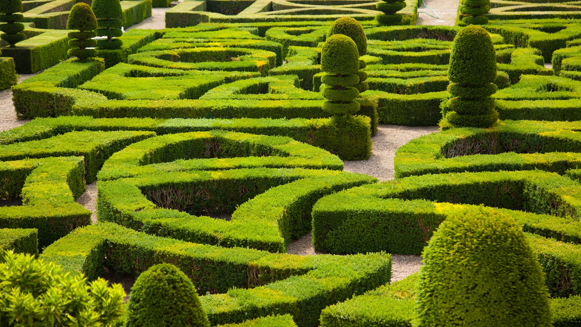 Jardín con estanque y fuente - Empresa de jardinería en Madrid norte