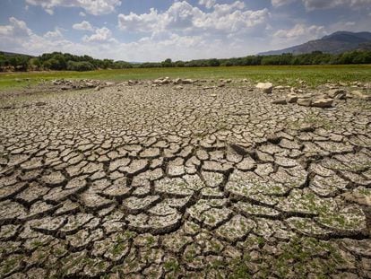 El Parque Nacional del Guadarrama sufre las consecuencias de la sequía, el pasado jueves. 