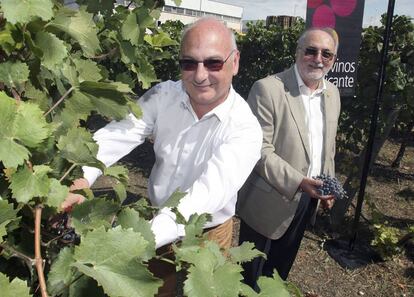 El investigador Francis Mojica en un acto de la denominación de origen de vinos Alicante.