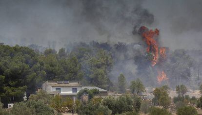 L'incendi de Ribera d'Ebre, el 26 de juny.