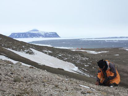 Un paleontólogo en el sitio de la rana en la isla Seymour, en el norte de la Península Antártica.
