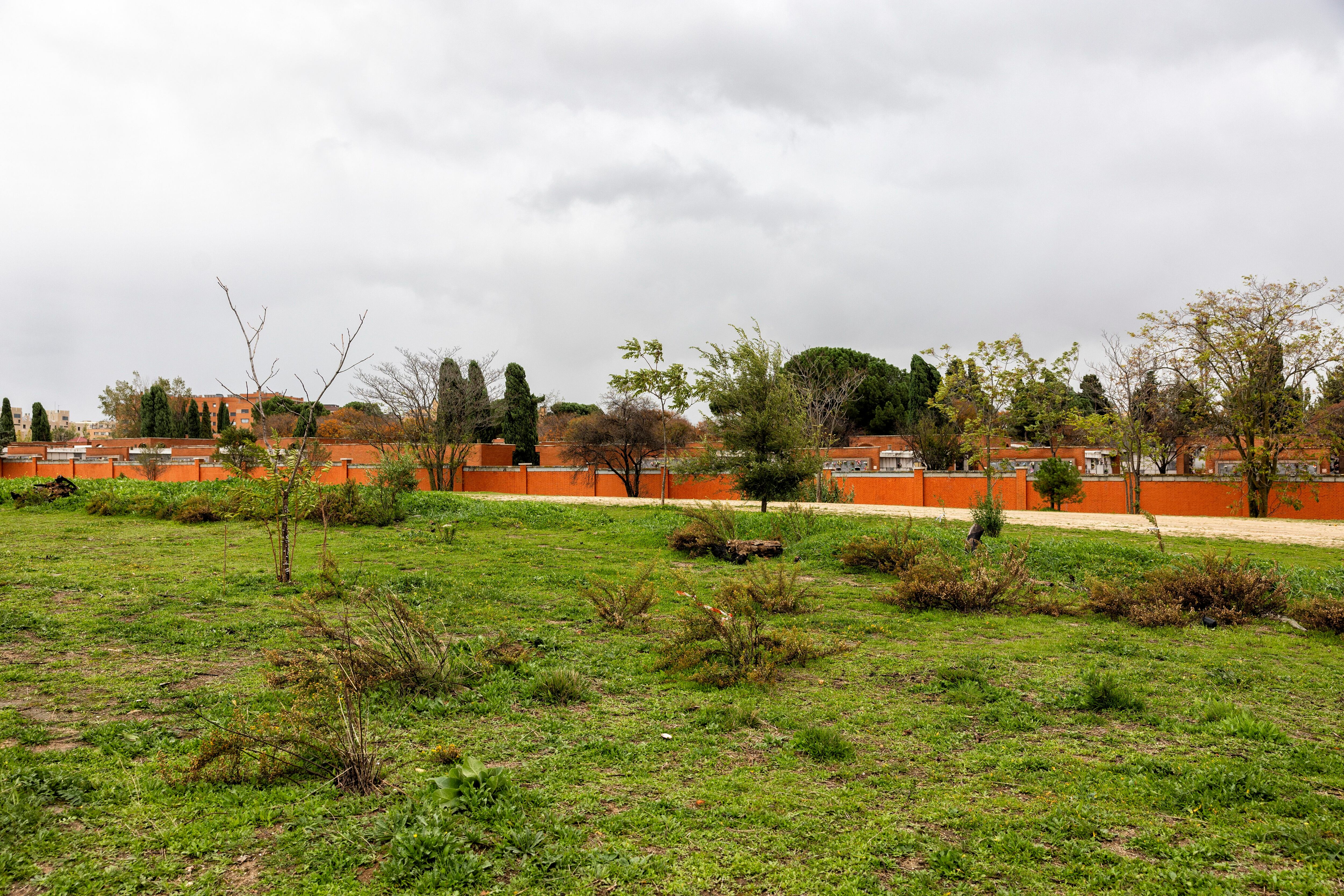 DVD 1185 (02/11/23) Parcela donde se construirá el cantón de Montecarmelo junto al Cementerio Municipal de Fuencarral ©  Claudio Alvarez