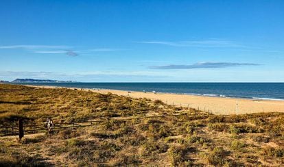 La playa de l'Ahuir en Gandia es uno de los arenales con nueva bandera azul. La Comunidad Valenciana es la región española con más distintivos este 2022.