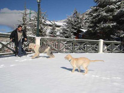 Nieve en Sierra Nevada