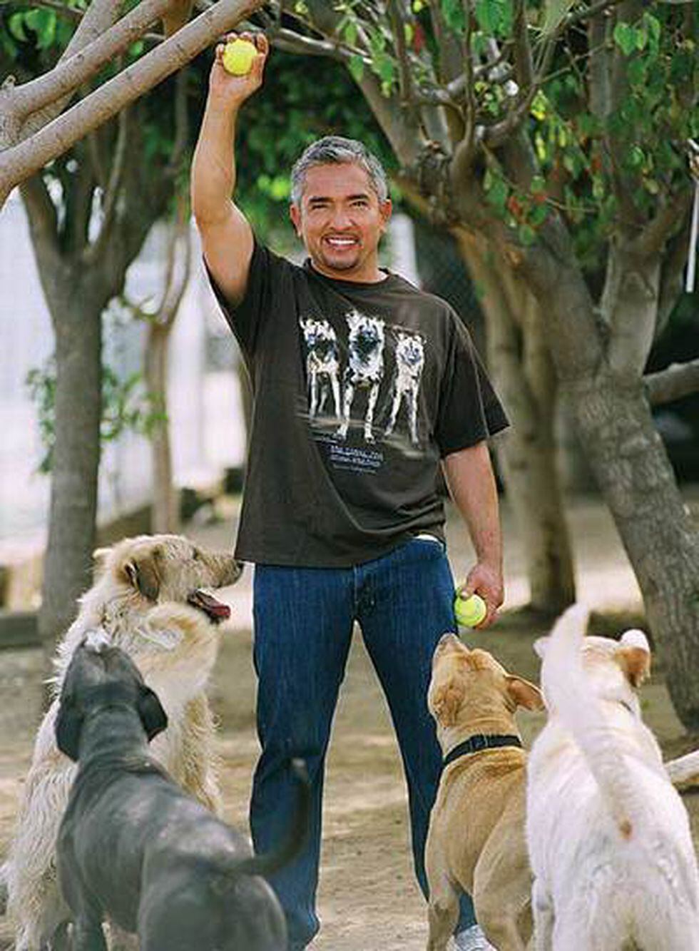 Cesar Millan Le Pega A Un Perro