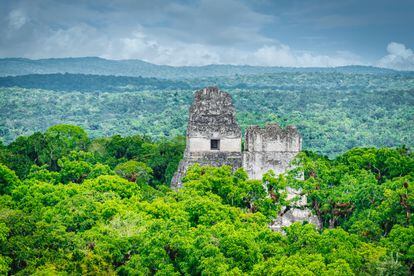 Vista del templo IV de Tikal, un yacimiento maya en el departamento de Petén (Guatemala).