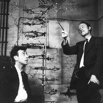 Francis Crick (derecha) y James Watson, al presentar la estructura del ADN, en Cambridge, en 1953.