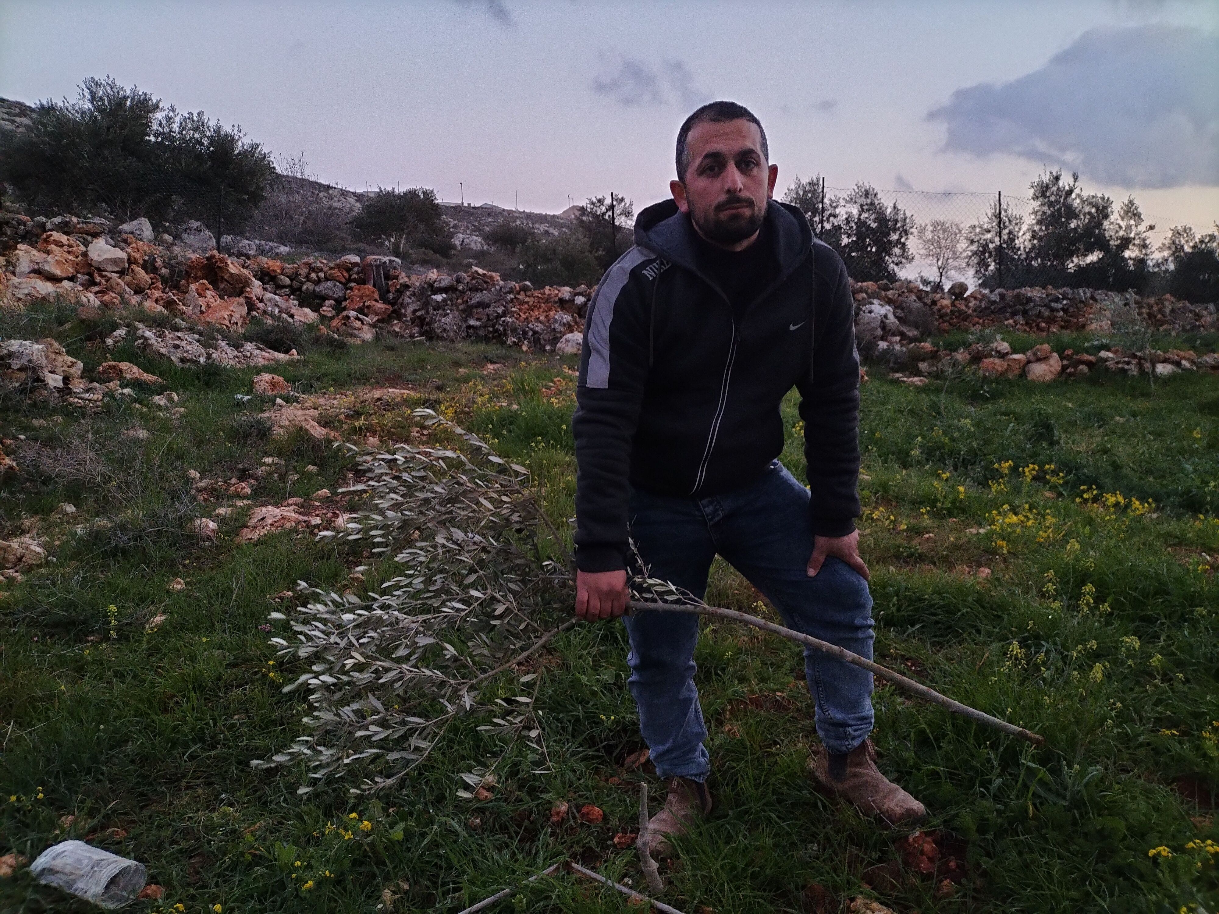 Hisham Hmud sostenía el jueves uno de los árboles partidos de su casa, en la localidad cisjordana de Yalud.