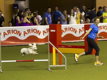 Exhibición canina durante la pasada edición de 100x100 Mascotas.