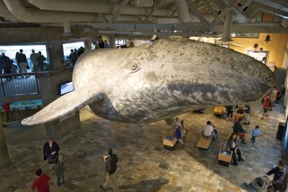 Una de las salas del Acuario de Bahía de Monterey, en California.