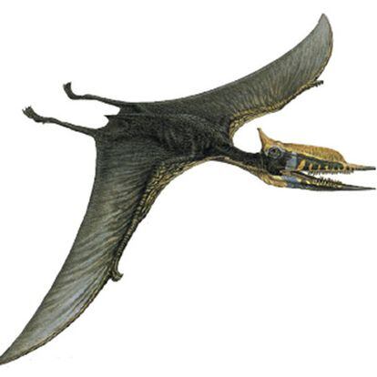 Recreación de un pterosaurio del Cretácico, <i>Phobetor</i> <i>(Terrorífico)</i>.