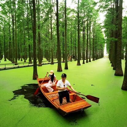 En la ciudad de Yangzhou, al norte de Shanghái, se esconde un parque natural formado por un inmenso humedal.