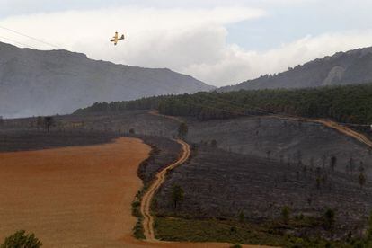 Un hidroavión sobrevuela la zona afectada por los incendios en el Parque Natural de la Sierra Norte de Guadalajara.