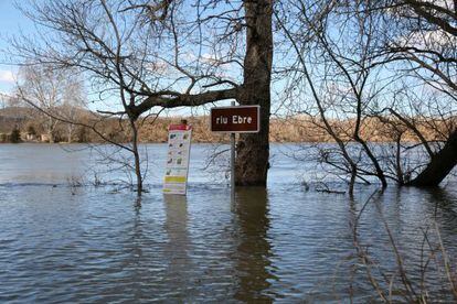 El paso de la barca de Miravet, inundado por la crecida el Ebro.