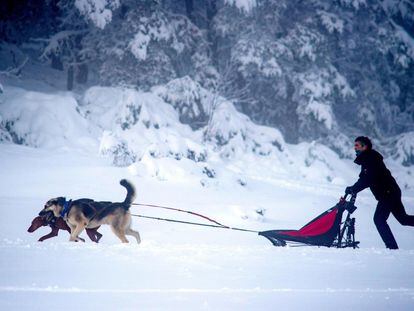 Un hombre se desliza en trineo tirado por dos perros sobre la nieve en Cabeza de Manzaneda (Ourense)