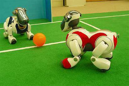 Dos robots juegan al fútbol con un programa de inteligencia artificial.