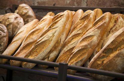 Intersicop mostrará panes bajos en carbohidratos y ricos en proteínas.