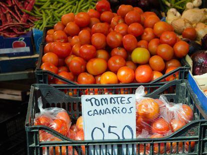 Puesto de tomates en Gran Canaria.