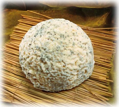 Taupinette Jousseaume. Jousseaume Earl (www.goat-and-cheese.com) Francia.