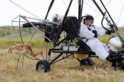 Putin posa con una grulla mientas está sentado en un ala delta motorizado. En esta ocasión el presidente ruso llevó un paso más allá su amor por los animales y se embarcó a volar con grullas.