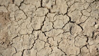 Sequía en el embalse de Canelles .