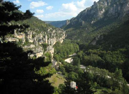 Panorámica de la garganta del río Tarn, Parque Natural de las Grandes Causses, en la región francesa de Aveyron