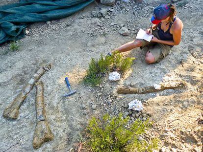 Trabajo de excavaci&oacute;n en el yacimiento donde han aparecido los restos &oacute;seos. 