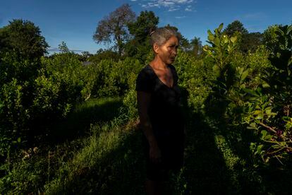 Lidia Correa comenzó a trabajar en la cosecha de la hoja de yerba mate cuando tenía nueve años. Hoy tiene 41. En Cuatro Bocas, su barrio del norte de la provincia de Misiones, viven 94 familias. Todas dependen de los seis meses al año en los que la cosecha da trabajo. 