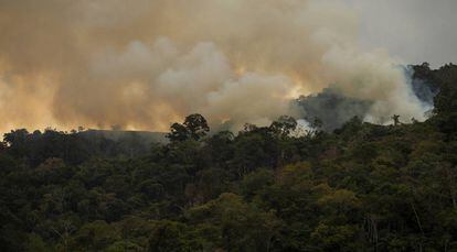 Un incendio en el bosque de Pozuzo, en Perú.