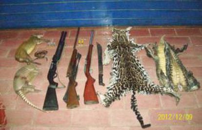 Restos de animales silvestres y armas decomisados, horas antes de que el Parlamento costarricense aprobara la ley que prohíbe la caza deportiva