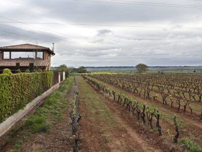 Imagen del chal&eacute; del presidente de La Rioja, Pedro Sanz, junto a unos vi&ntilde;edos en Villamediana de Iregua. 