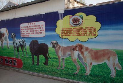 Granja de perros de Jiaxiang.