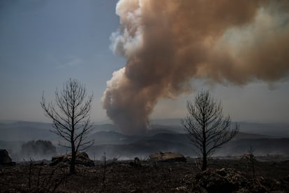 La comunidad gallega ya tiene perimetrados los doce incendios que afectan a sus montes. En la imagen, vista del incendio en Saa en A Pobra de Brollón (Lugo), este domingo. 